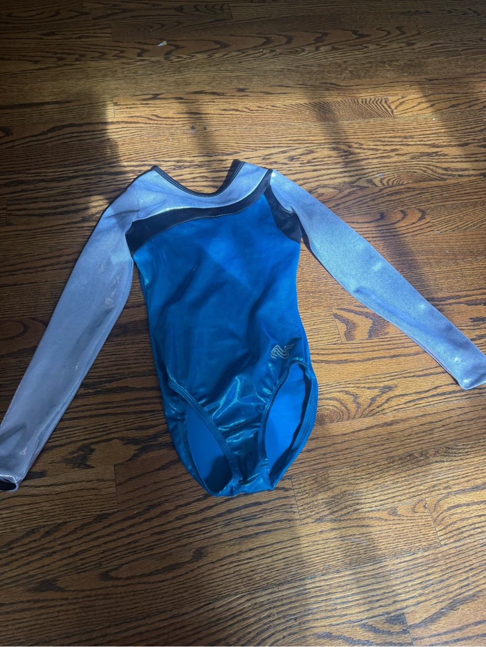 Kids Blue Long-Sleeve Dance Leotard